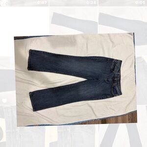 Talbots Indigo Denim Pants